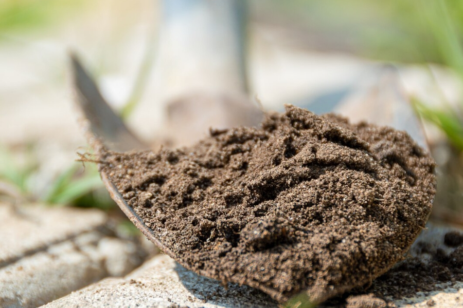 Soil Stabilization in Davenport, FL